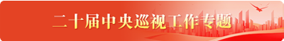 二十届中央巡视工作